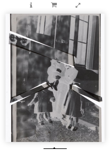 Photographs 2016 - 2019 Cover